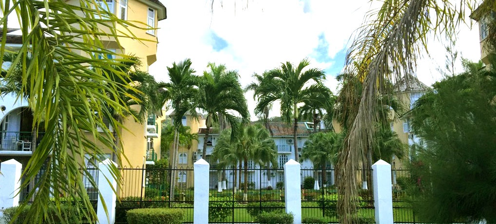 View From Beach